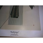 Afbeelding 4 van 20