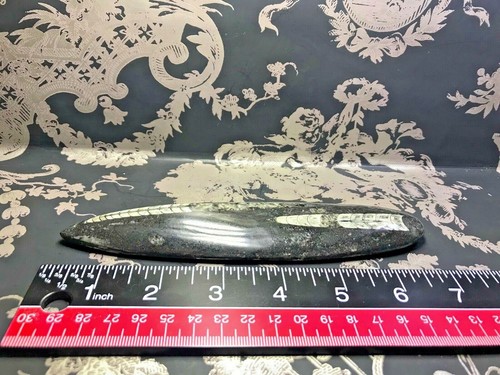 Orthoceras Fossil Wand from Morocco, 166 Grams, (Transformation/Root Chakra) - Picture 3 of 8