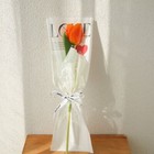 Bild 3 von 17