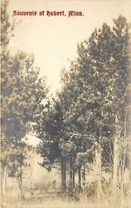 Hubert-Minnesota-Among-the-Trees-1920s-Real-Photo-Postcard-RPPC