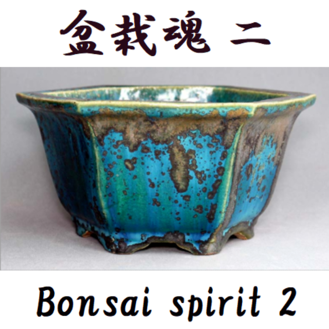 Bonsai pot Discount sale