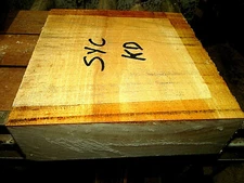 BEAUTIFUL KILN DRIED SYCAMORE BOWL BLANK LATHE TURNING LUMBER WOOD 16" X 16 X 3"