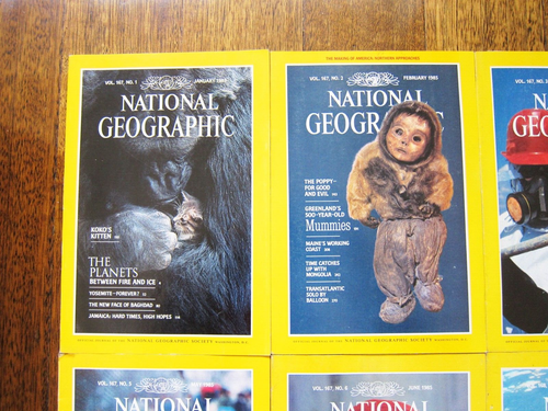 1985 National Geographic Complete Year Set of 12 Magazines Jan-Dec Bulk Lot - Picture 3 of 12