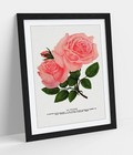 PINK ROSE, LA FRANCE LITHOGRAPH -FRAMED WALL ART POSTER PAPER PRINT 4 SIZES