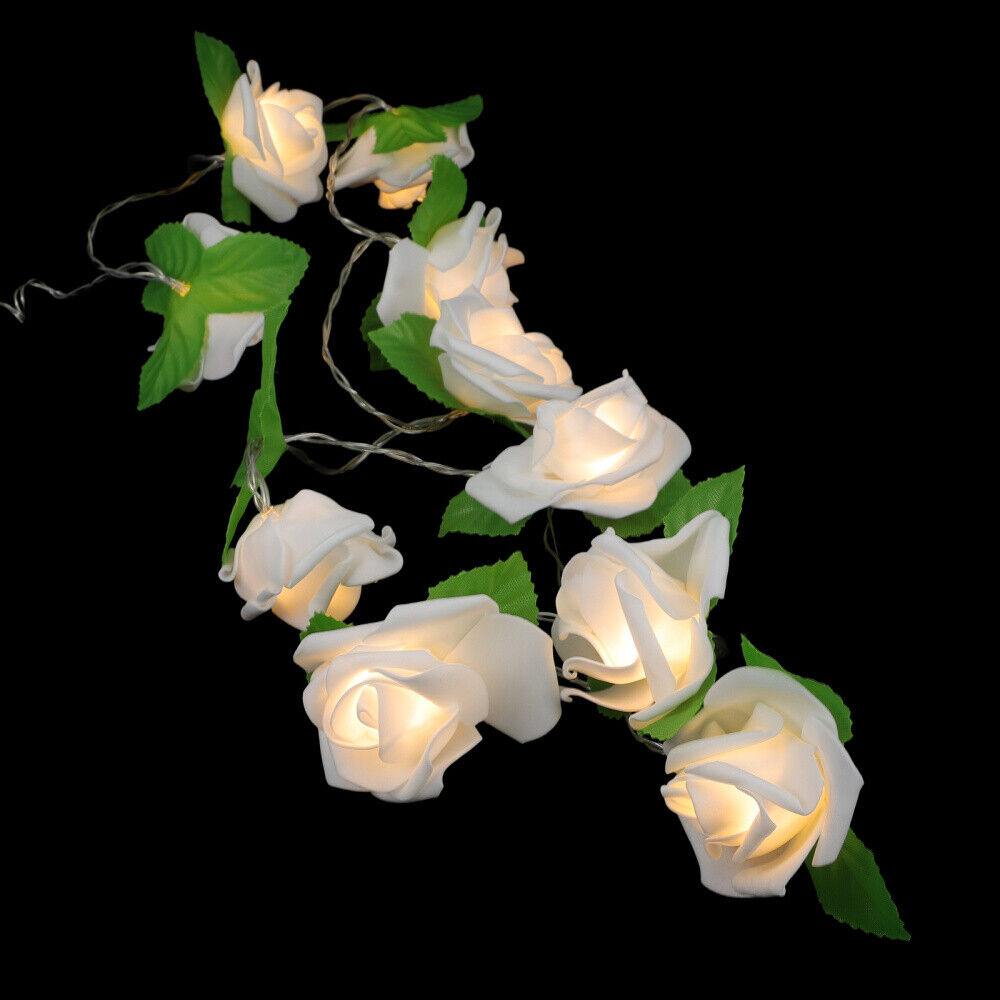 Bild 12 von 12