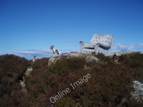 Photo 12x8 Dog Tired Ardfernal Some local has obviously got some sense and c2010