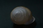 Bild 5 von 7