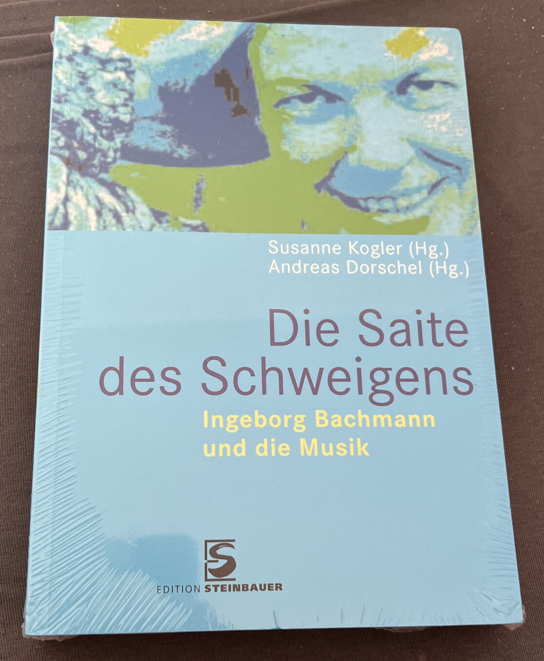 Die Saite des Schweigens Ingeborg Bachmann und die Musik - Susanne Kogler, Andreas Dorschel