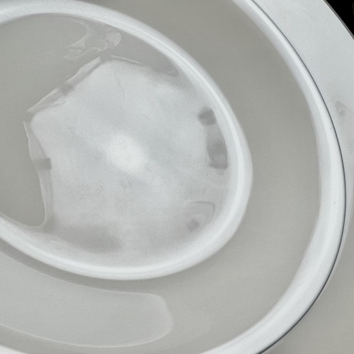 Set of 4 Arcoroc Arc France Reception Large Rimmed Meal Bowls Deep Plates + More - Picture 7 of 11