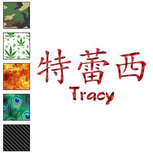 Chinese Symbol Emily Name Decal Sticker Choose Color Size #2062