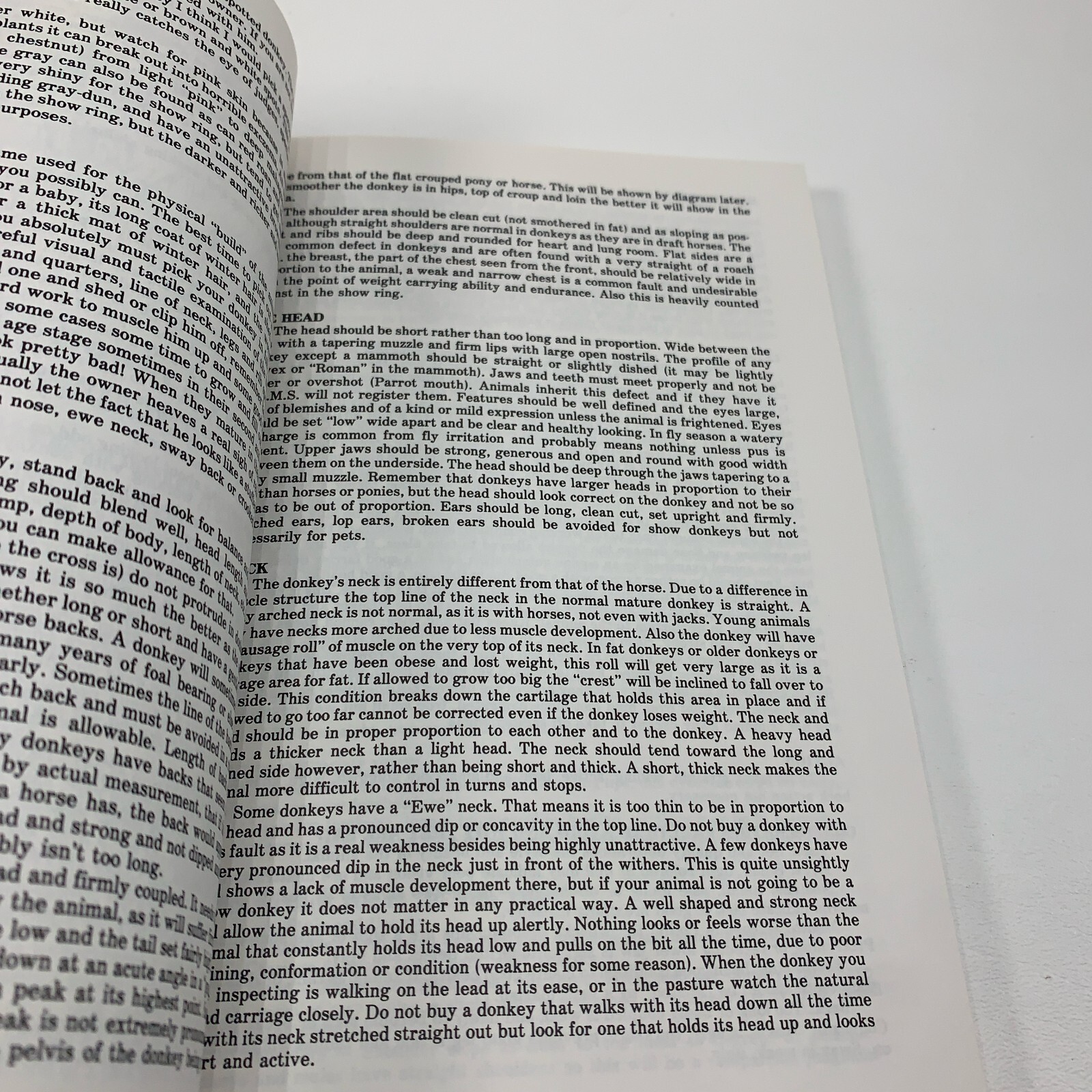 The Definitive Donkey Vol. 1 : A Textbook on the Modern Ass (1981 ...
