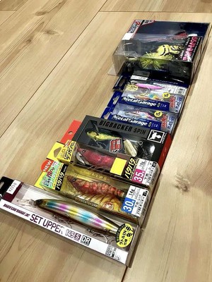 Lure Jig Sold In Bulk Separately