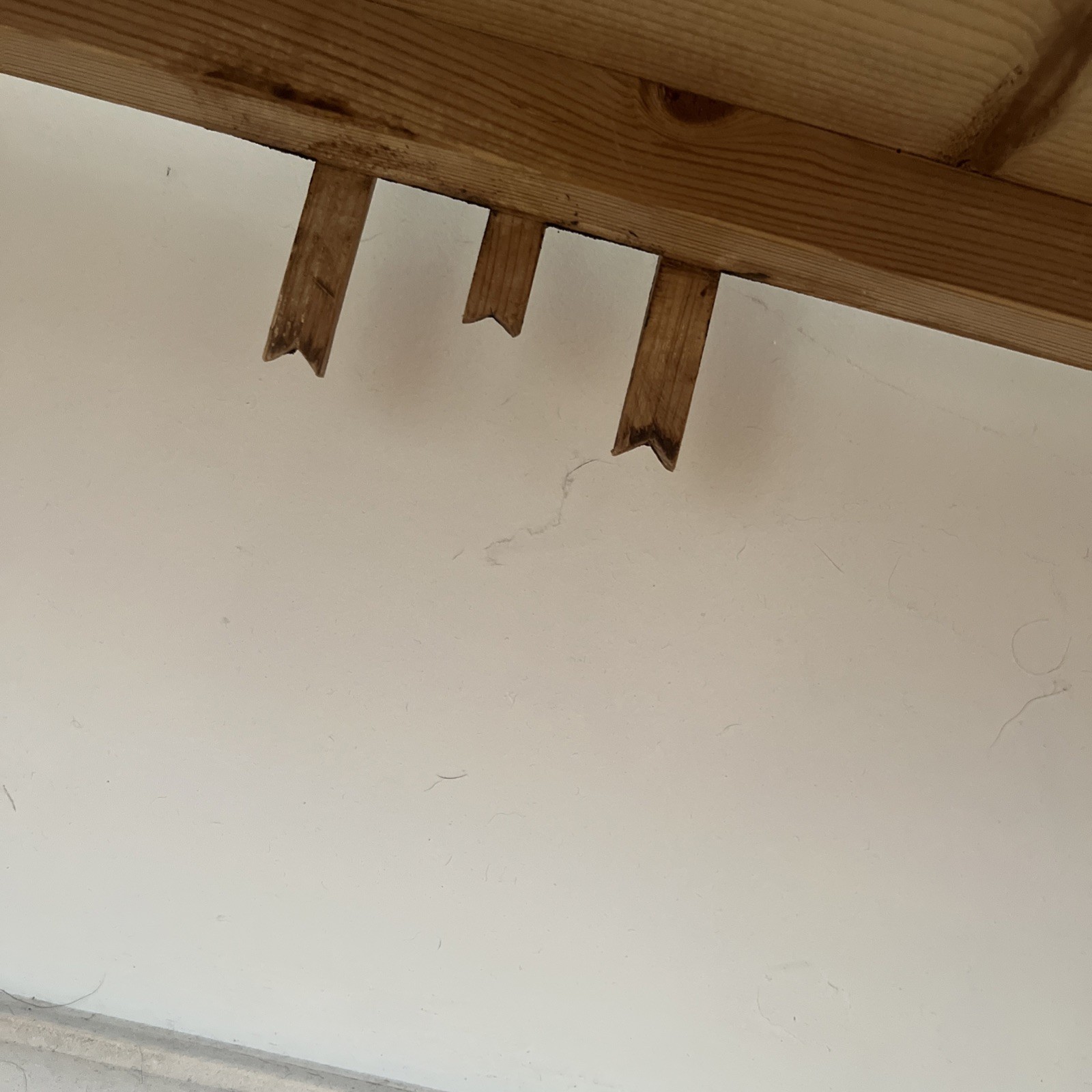 Picture 18 of 20