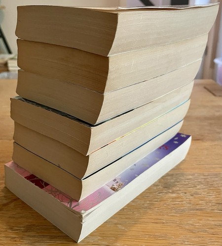 Susan Wiggs Book Bundle 7 Women’s Romance Fiction Novels Paperback Chick-lit - Imagen 2 de 10
