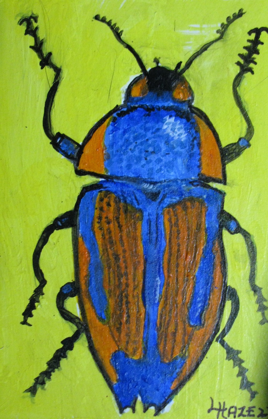 Picture 9 of 24