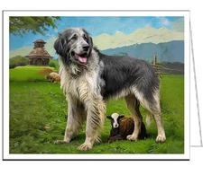 Charming Romanian Mioritic Shepherd Dog Fine Art Notecards - Set of Six - 5 x 7