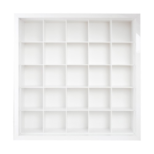 Wand Regal 55 x 55cm Sammel Sammler Vitrine Schau Setz Kasten - Inlay wechselbar - Bild 10 von 22