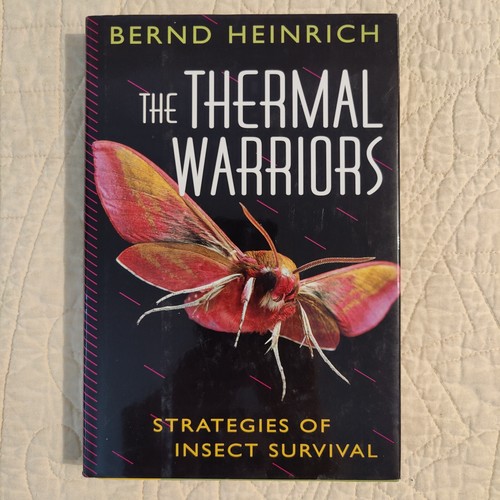 The Thermal Warriors Strategies of Insect Survival - Bernd Heinrich Entomology - Picture 11 of 24