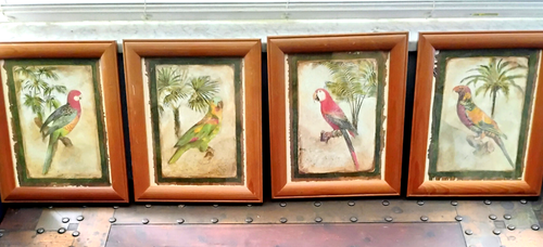 John-Richard 4 Framed Parrot Prints, Vintage Art