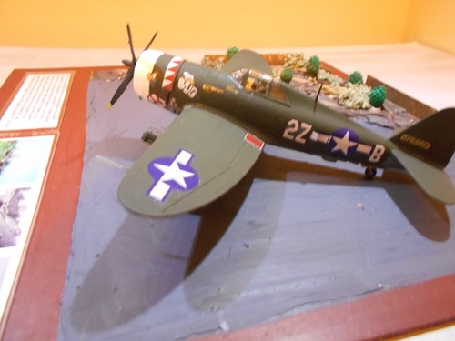 WORLD WAR II - P-47 THUNDERBOLT THE BUG 1/48 MODEL - DIORAMA W/ PLEXIGLAS COVER - Picture 7 of 15