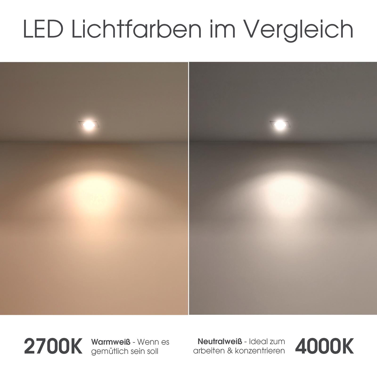 Bild 8 von 9
