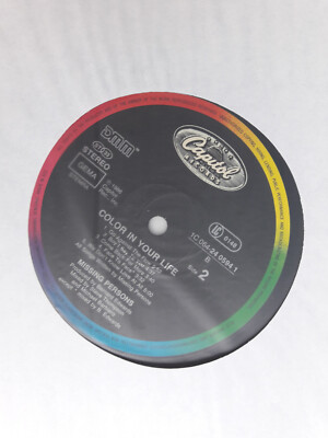 Schallplatte, Vinyl, LP, Missing Persons, Color in your Life, ohne Cover