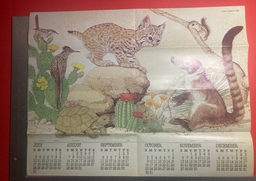 1983 RANGER RICK'S CALENDAR POSTER CHICKADEE. BUTTERFLY. RABBIT. MOUSE DEER. - Picture 15 of 18
