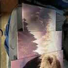 Picture 2 of 4