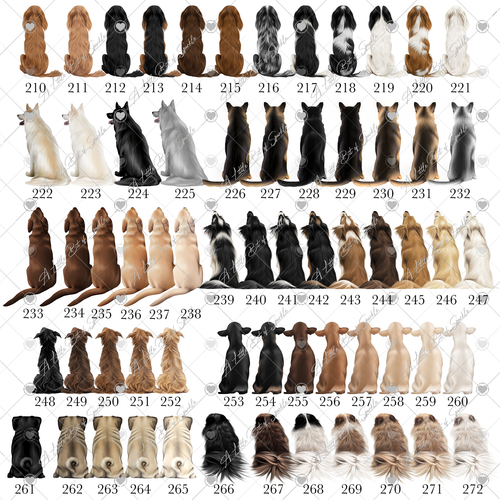 Haustier- & Besitzerdruck, Haustierdruck, personalisierter Druck, Damen- & Hundedruck (PET5) - Bild 9 von 12