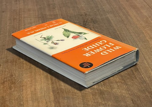 Wild Flower Guide: Northeastern and Midland U.S. By Edgar T. Wherry (1948, HC) - Bild 3 von 15
