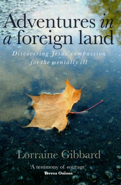 Adventures in a Foreign Land by Lorraine Gibbard (Paperback Book)
