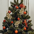 Bild 9 von 9
