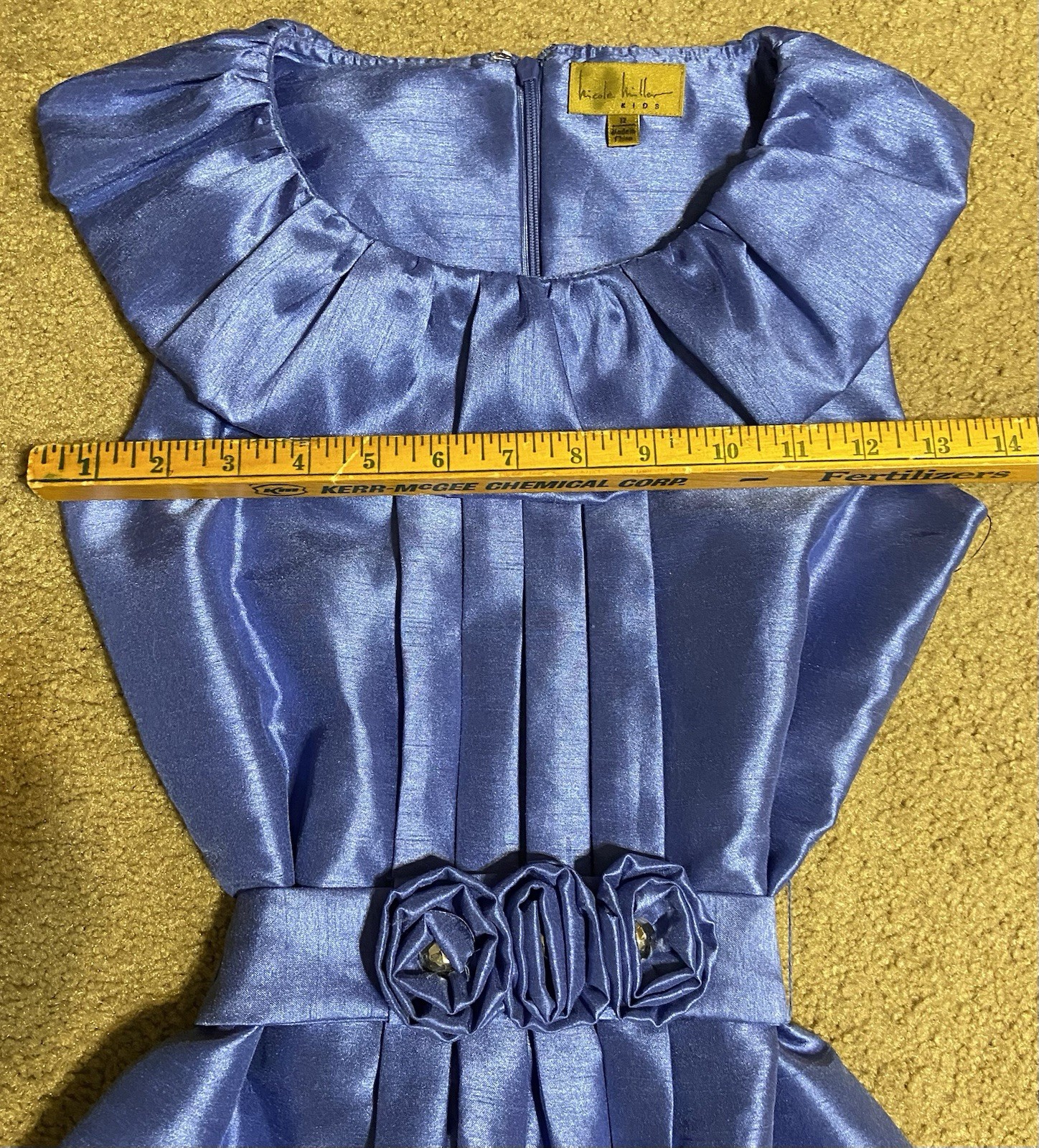 Picture 4 of 12