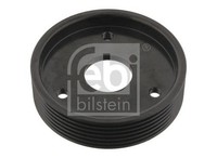 NEU - Febi Bilstein 29501 Riemenscheibe, Servopumpe FüR Renault