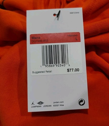 NEW Men's Size L Air Jordan Dri-FIT Fleece Sleeveless Hoodie Training Top Orange - Picture 3 of 6