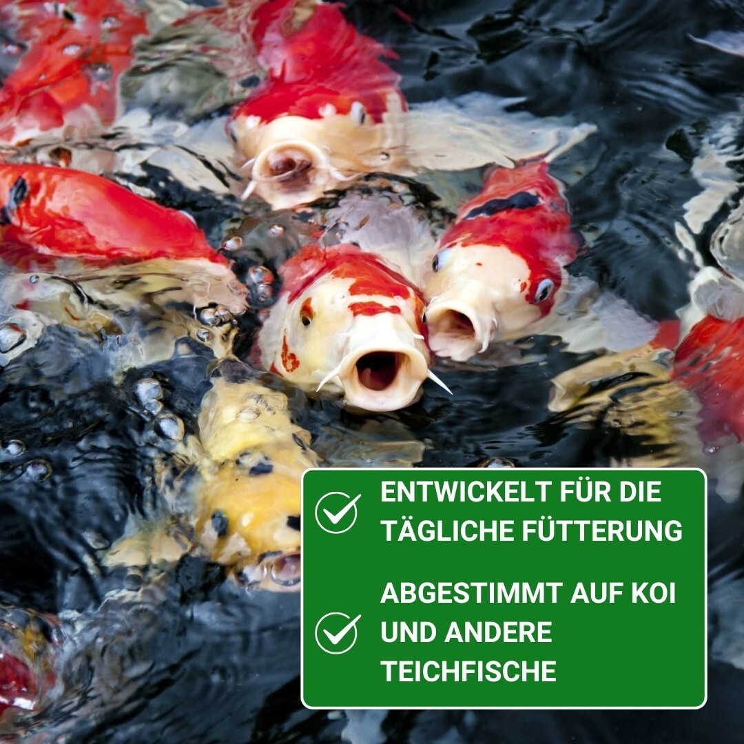 Bild 4 von 11