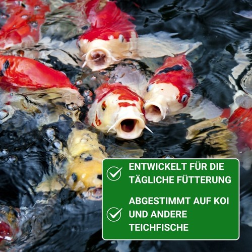 15kg KENKOU Spezial Spirulina Koifutter - 6mm Schwimmfutter für vitale Koi - Bild 4 von 11
