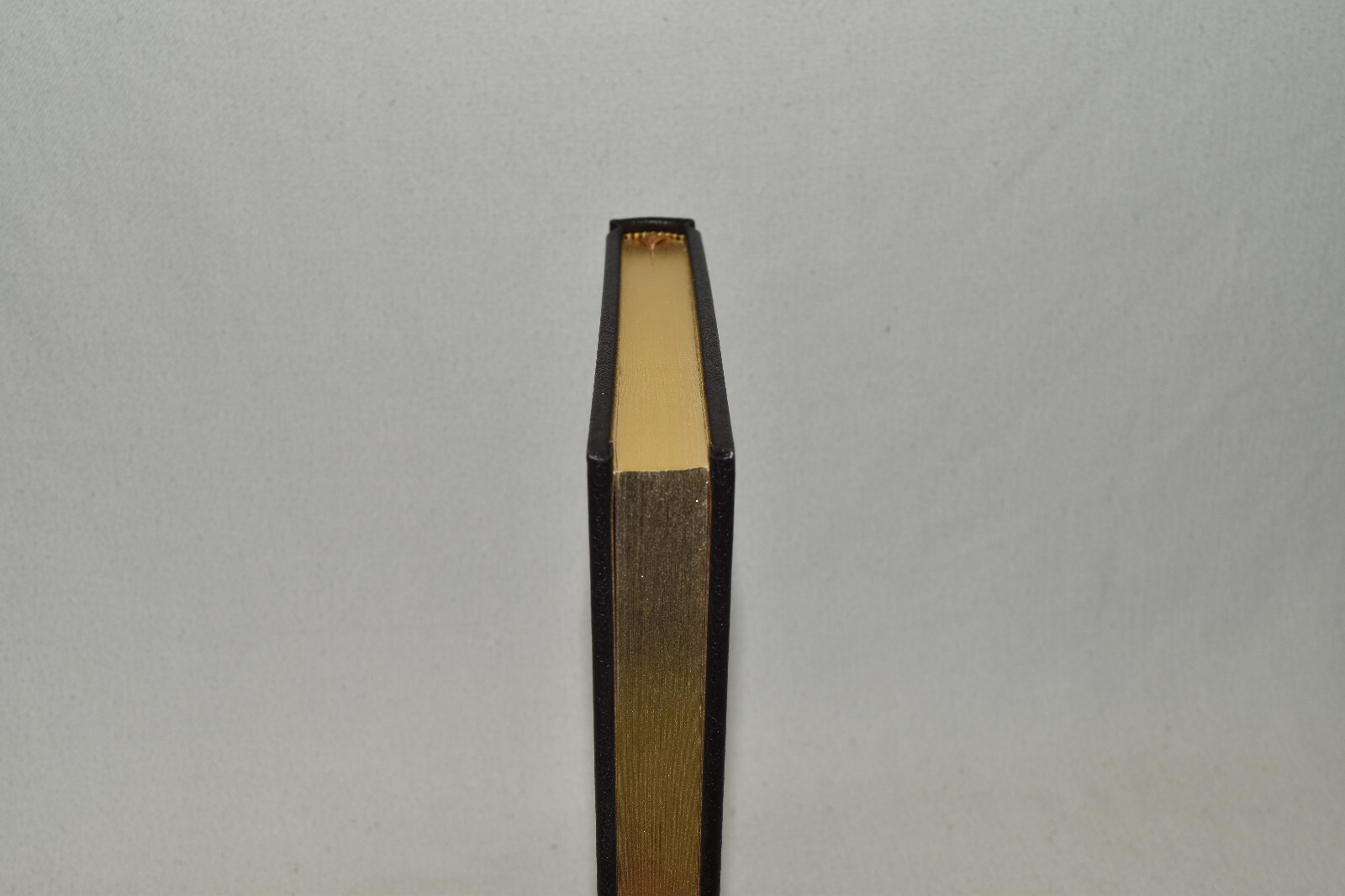 Picture 5 of 15