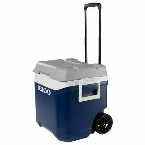 Igloo maxcold best sale 58l