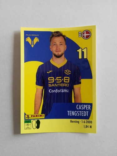 FIGURINE CALCIATORI PANINI 2024/2025 DALLA 1 ALLA 250 SCEGLI DALLA LISTA - Imagen 217 de 254