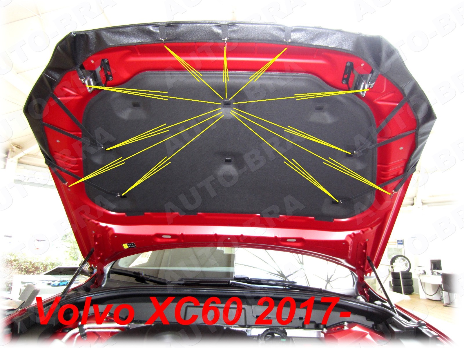 Imagen 4 de 4