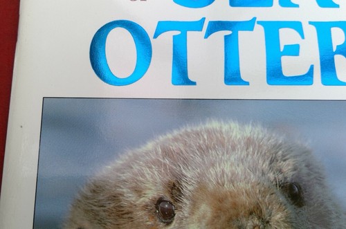 A Raft of Sea Otters by Vicki Leon 1988 13 photographers paperback - Picture 2 of 12