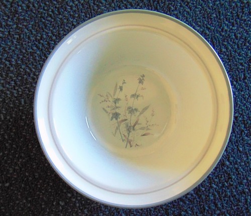 Noritake Stoneware WOODSTOCK 8364 ~ 6 5/8" Rimmed Cereal Bowl ~ New