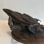 Picture 13 of 23