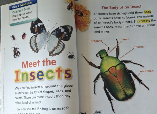 Wonders Literature Anthology, Volume 4, Grade 1 by McGraw Hill (2016, Book,... - Picture 4 of 13