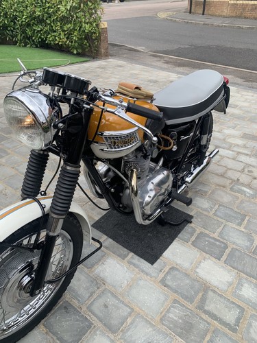 Classic Triumph Tiger T100ss - Picture 6 of 7