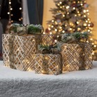 The Christmas Workshop 70289 Set of 3 Light-Up 45 LEDs, Brown Bow