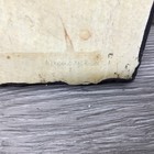 Picture 4 of 6