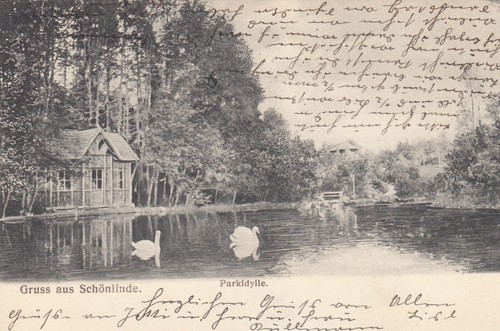 Gruss aus Schönlinde Krasna Lipa AK 1906 Böhmen Tschechien Ceska 2301107 - Picture 1 of 2