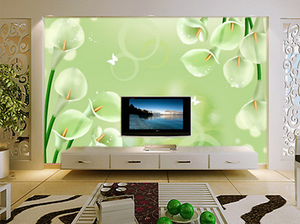 3D Transparent Cartoon Petal Paper Wall Print Wall Decal Wall Deco Indoor Murals 3D Transparent Cartoon Petal Paper Wall Print Wall Decal Wall Deco Indoor Murals